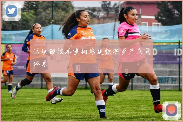 区块链技术重构球迷数字资产交易体系