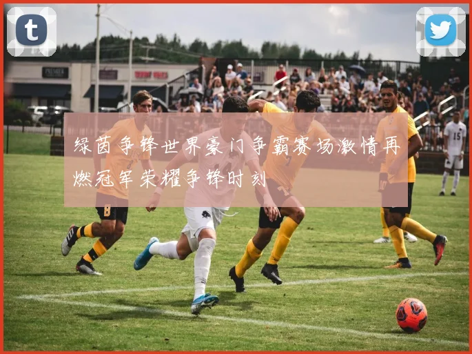 绿茵争锋世界豪门争霸赛场激情再燃冠军荣耀争锋时刻