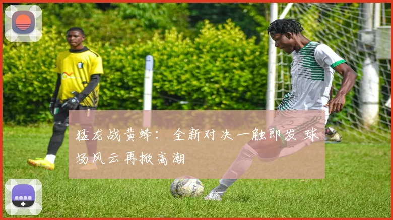 猛龙战黄蜂：全新对决一触即发 球场风云再掀高潮