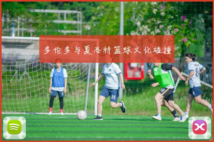 多伦多与夏洛特篮球文化碰撞